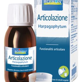 HARPAGOPHYTUM BOIRON EI 60ML